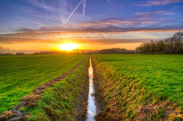 ditch-3013065_640